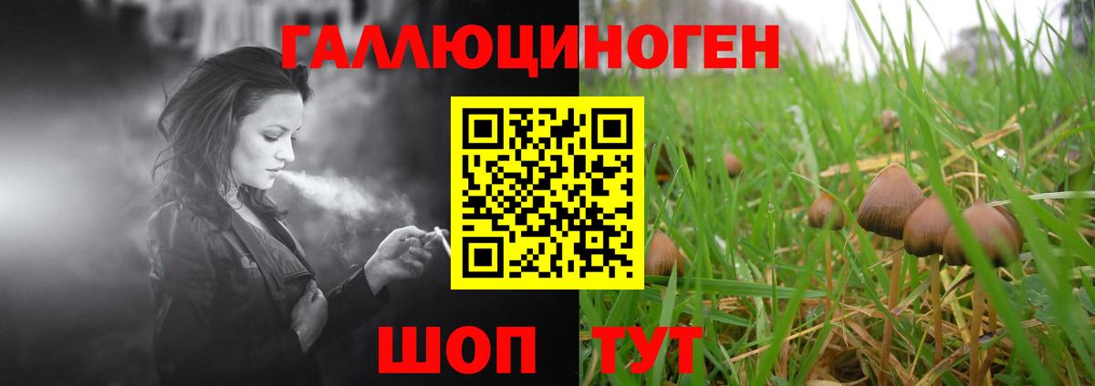 Галлюциногенные грибы GOLDEN TEACHER  Вход с VPN  Заволжье  Псилоцибиновые грибы Psilocybine cubensis 