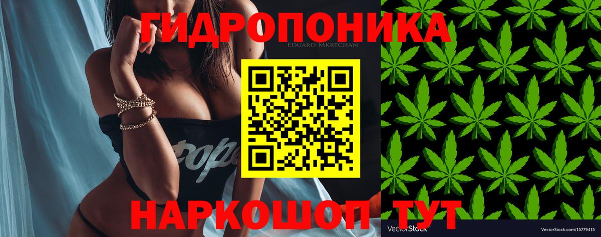 Конопля Amnesia Заволжье